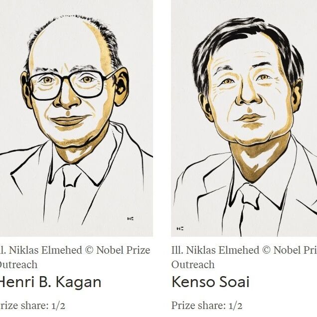两位科学家获2026诺贝尔化学奖｜告别 “理综奖”，回归化学本身