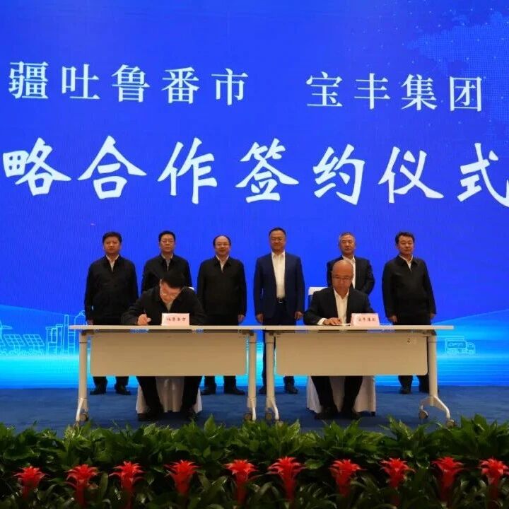 宝丰集团与吐鲁番880亿元重大项目签约